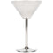 Stainless Steel Martini Glass
