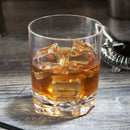 12 oz. Plastic Classic Rocks / Old Fashioned Glass