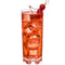 14 oz. Plastic Beverage Glass