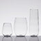 Disposable Wine Glass - Plastic Glass - 64/Cs